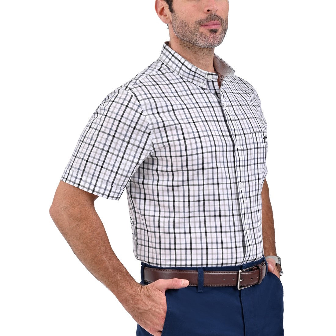Camisa Buckingham Regular Fit Botton Down 3084